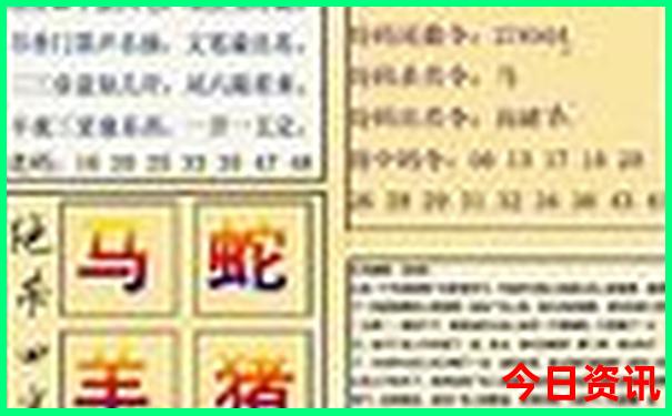 经验分享全新独家澳门管家婆全新指南100全新攻略正确-澳门管家婆100%精准香港
